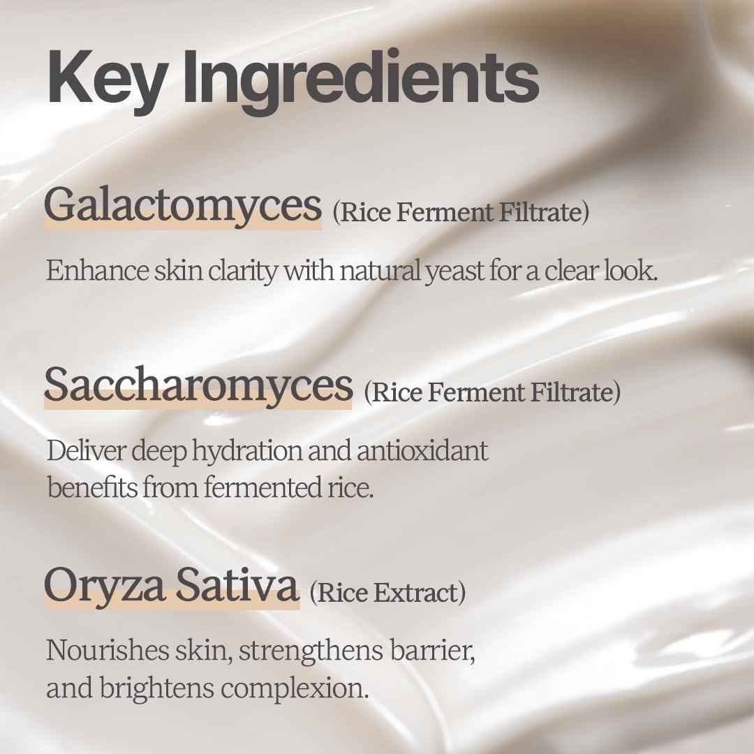 House of Dohwa Rice Makgeolli Moisturizer – Deeply Hydrating & Nourishing – Made with Domestically Sourced Korean Rice – 60 ml (2.02 Fl Oz) – Korean Skincare