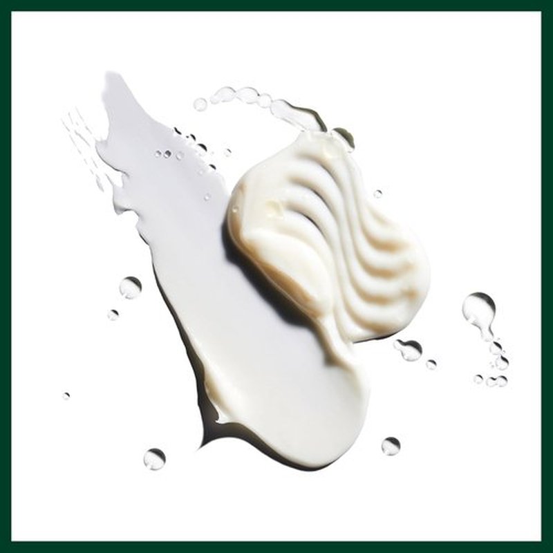 Aveda Nutriplenish Shampoo - Deep Moisture for Medium to Thick Dry Hair | Organic Pomegranate Oil & Coconut Oil
