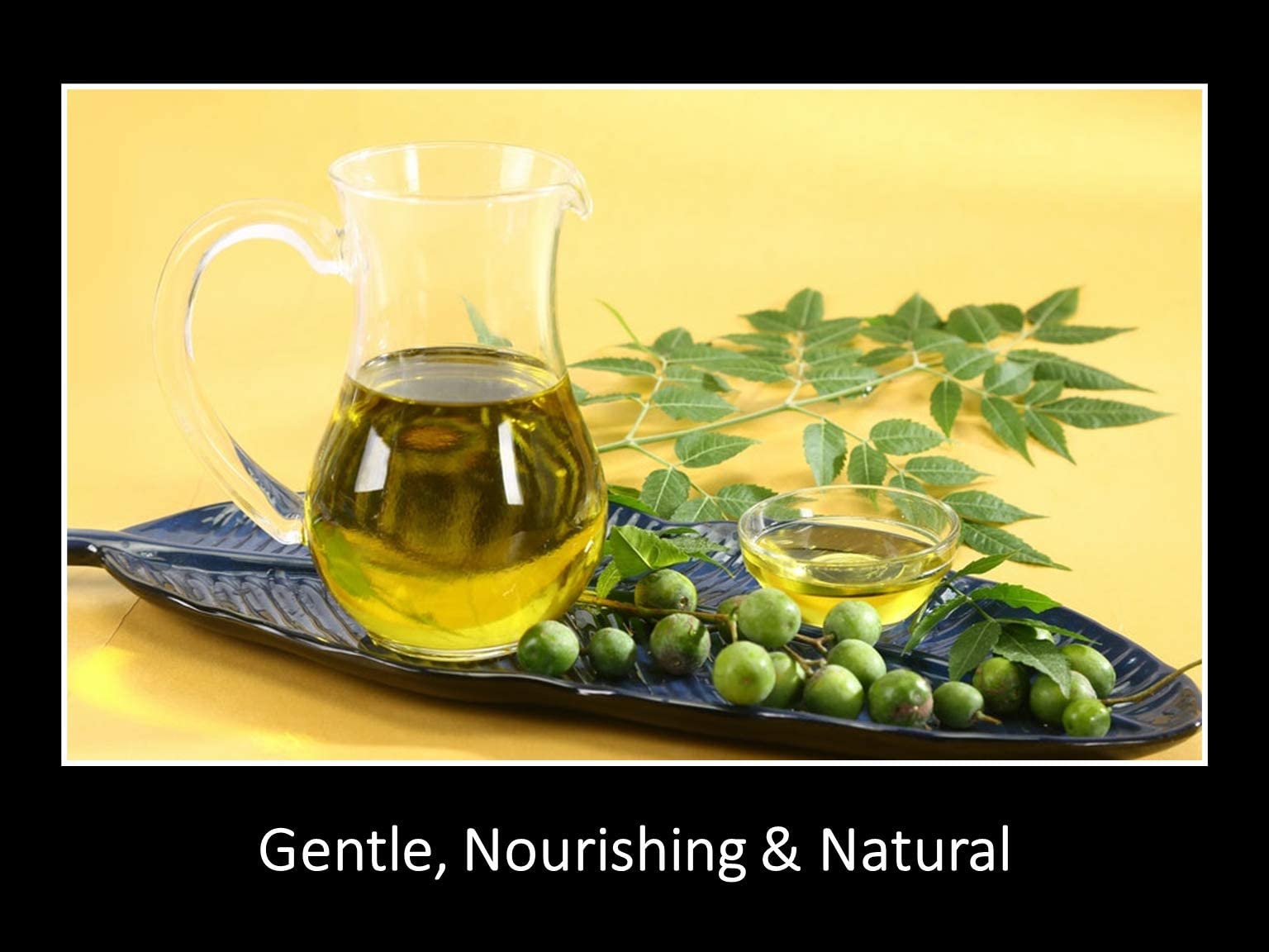 DAANA Neem Oil for Skin and Hair: Certified USDA Organic, Extra Virgin, Cold Pressed (12 Fl Oz)