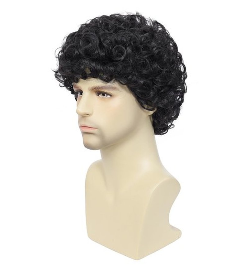 Airhostess Mens Short Afro Curly Wig for Male,70s 80s Disco Guy Rocker，Halloween Cosplay Fancy Wigs for Daily Party Costume (black)