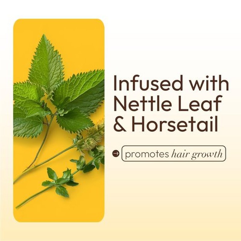 ORS HAIRestore Hair Mayonnaise with Nettle Leaf and Horsetail Extract 16 Ounce (Pack of 2)