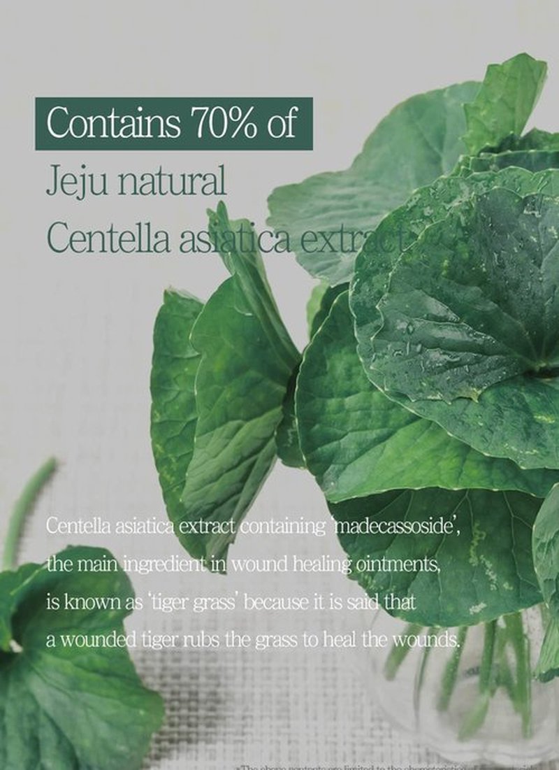 PRETTYSKIN Jeju Cica 70 Facial Cream – 70% Centella Asiatica | Lightweight & Non-Sticky Moisturizer | Ginseng + Propolis Support | Hypoallergenic for Sensitive Skin – 1.69 fl.oz.