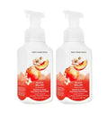 Bath and Body Works Gentle & Clean Foaming Hand Soap 8.75 Ounce 2-Pack (Peach Bellini)