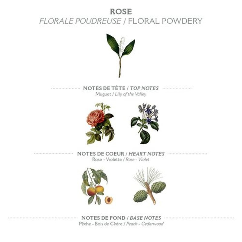 Panier des Sens - Rose Hand & Body Lotion for Dry Skin | Hydrating Cream with Shea Butter & Olive Oil - 8.45 Fl Oz
