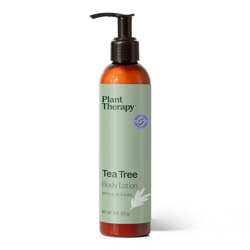 Plant Therapy Tea Tree Body Lotion - Hydrate & Nourish Skin with Aloe & Shea, 8 oz