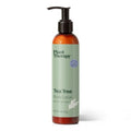 Plant Therapy Tea Tree Body Lotion - Hydrate & Nourish Skin with Aloe & Shea, 8 oz