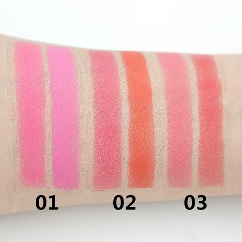 Skiennix Blusher - Dual Color Formula for Flawless Cheeks | Shade 02