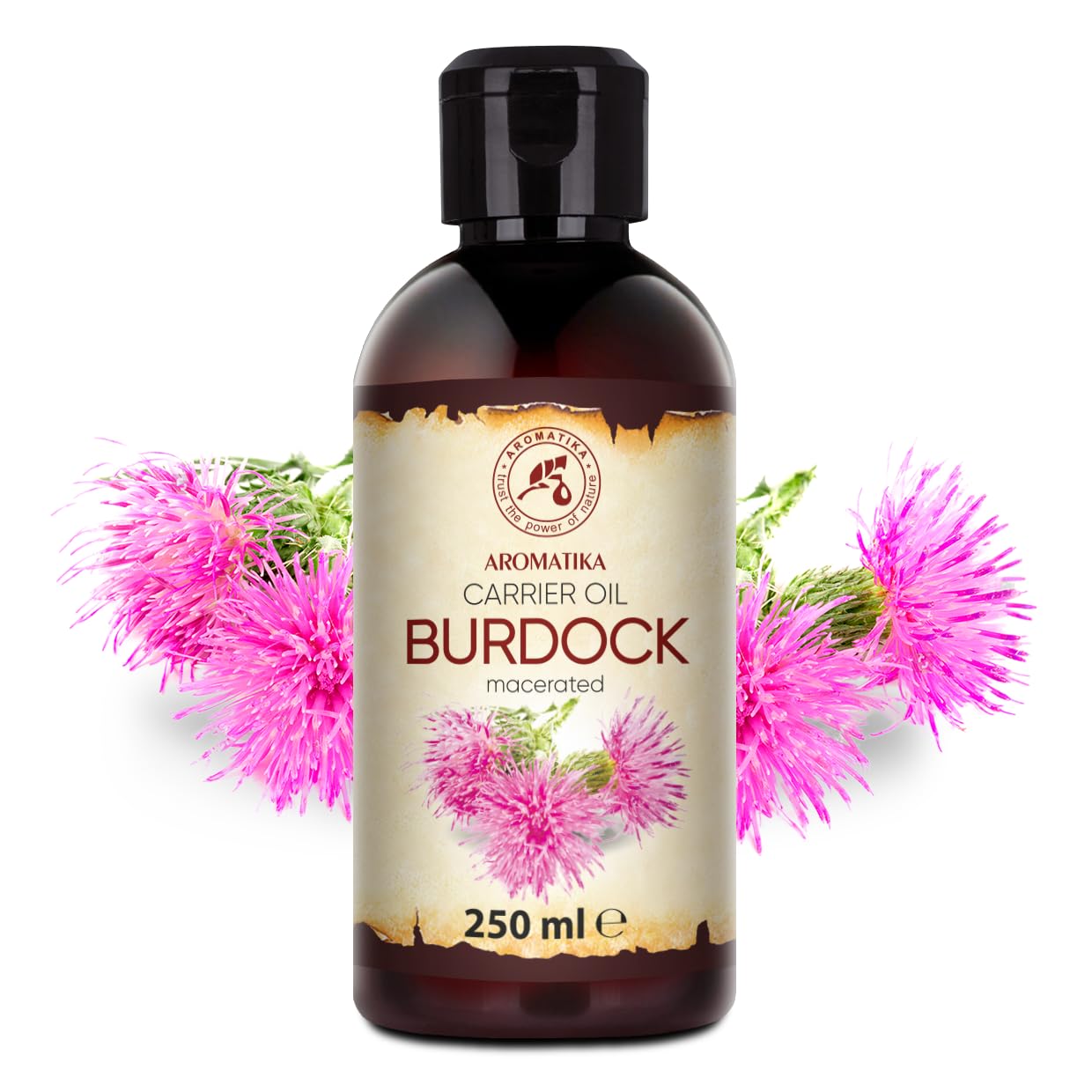 AROMATIKA Burdock Oil 8.45 Fl Oz (250ml) - 100% Pure & Natural - Arctium Lappa for Hair & Scalp - Carrier Oil for Nails - Skin - Lips - Face & Body Care - Glass Bottle - Oils Burdock Seed