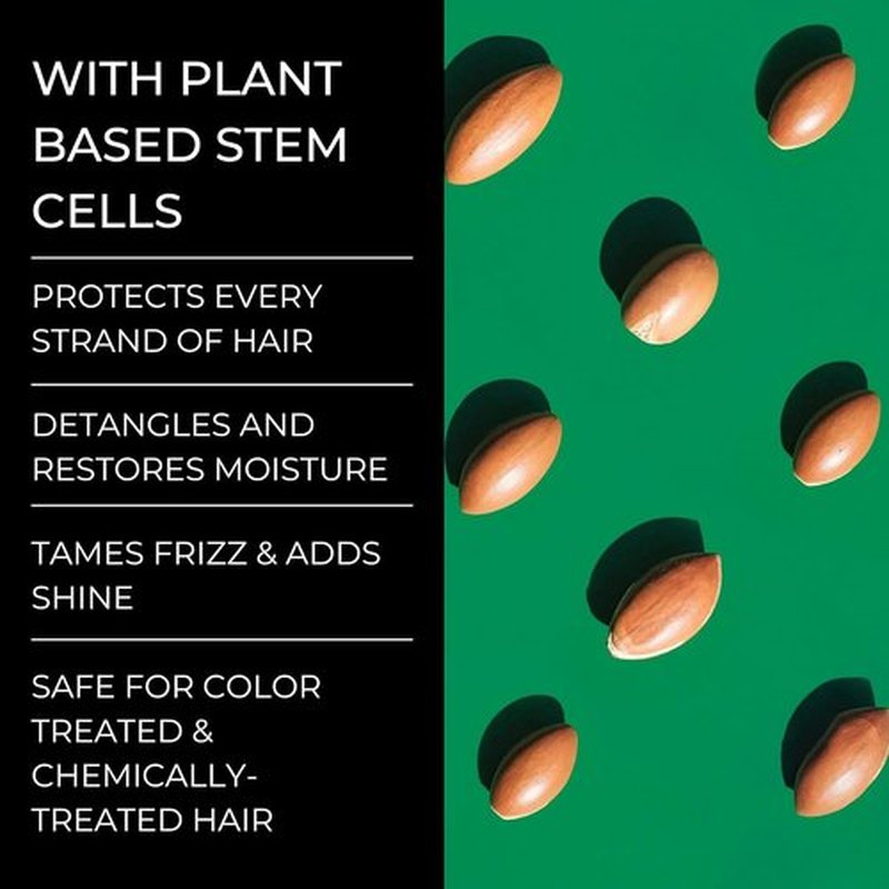 DANDRX Anti-Dandruff Shampoo with 2% Pyrithione Zinc & Stem Cells, Extra Strength for Flaky, Itchy, Oily & Dry Scalp Treatment, Fragrance Free, Color Safe, Sulfate Free