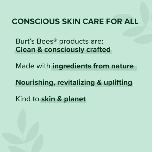 Burt's Bees Lip Balm - Ultra Conditioning with Kokum Butter | 0.15 oz (Pack of 6)
