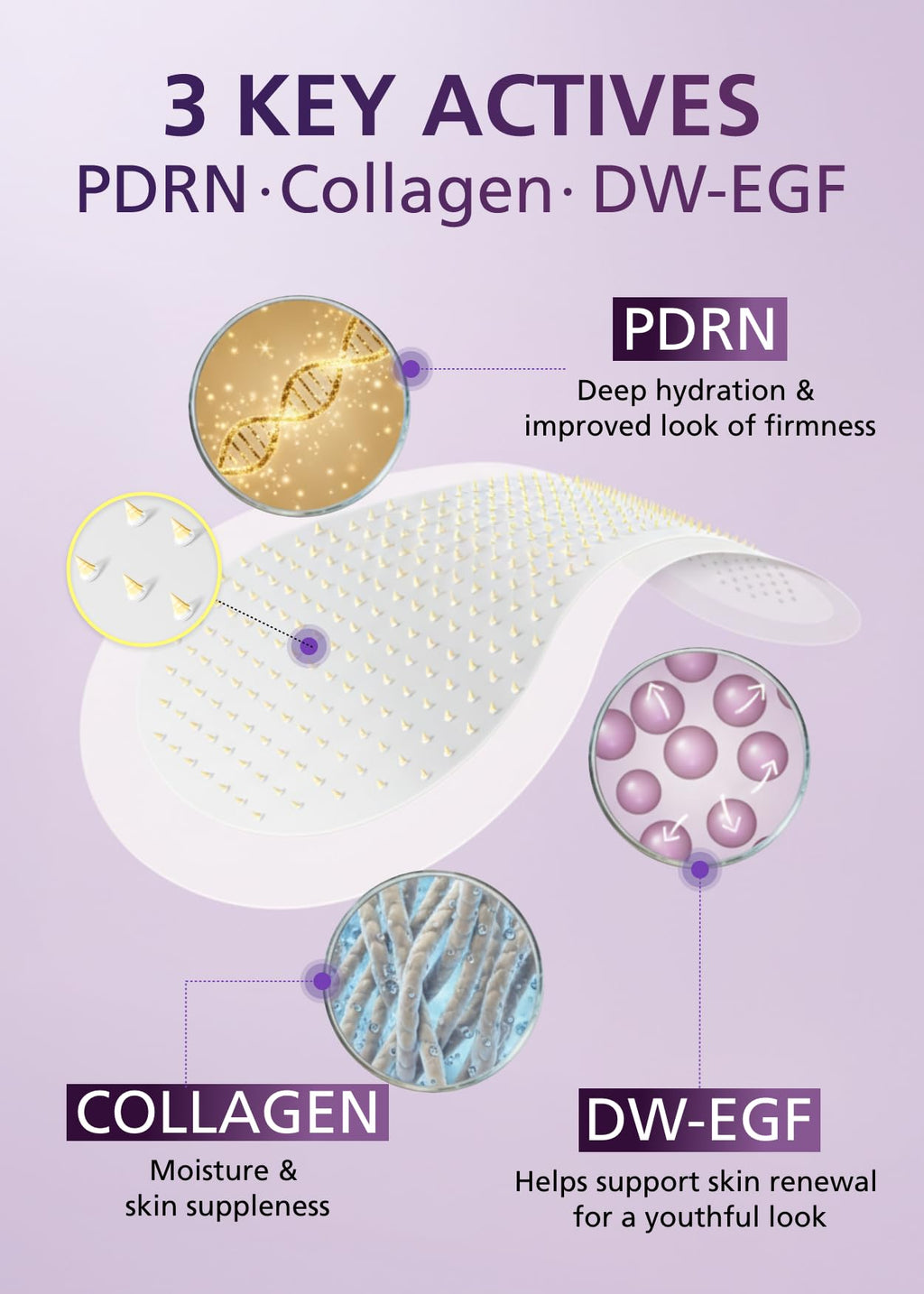 DWEasyDerm Easyderm PDRN Anti-Wrinkle Patch - Under Eye & Smile Line treatment, 8 Patches, K-Beauty Korean Skincare with Collagen & EGF, Eye patches, PDRN Eye Mask, Summer & Travel Essentials