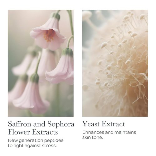 SOTHYS Youth Cream - Wrinkle-Targeting Face Moisturizer for Anti-Aging | Normal & Combination Skin