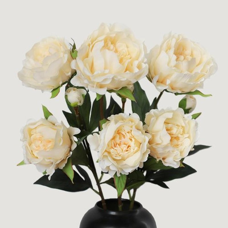 KBREE Artificial Peonies - Lifelike 25.2" Real Touch Flowers, 3 Pcs Cream White Stems for Bouquets & Arrangements