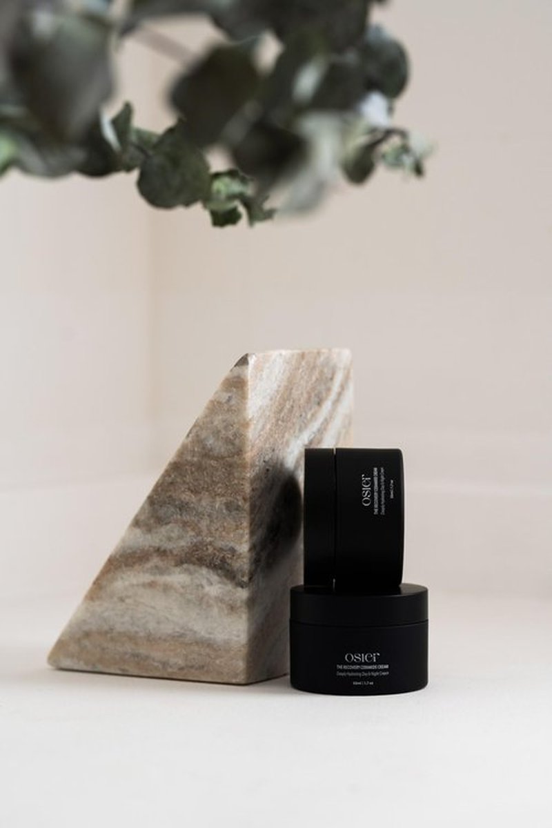 Osier The Recovery Ceramide Cream | Korean Skincare | Facial Moisturizer