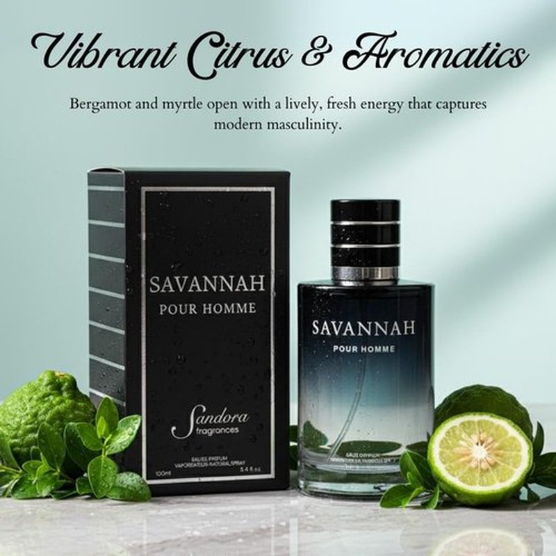 Sandora Fragrances Men's Cologne - Inspired by Renowned Perfume - Fresh & Spicy Aromatic Blend - 3.4 fl oz