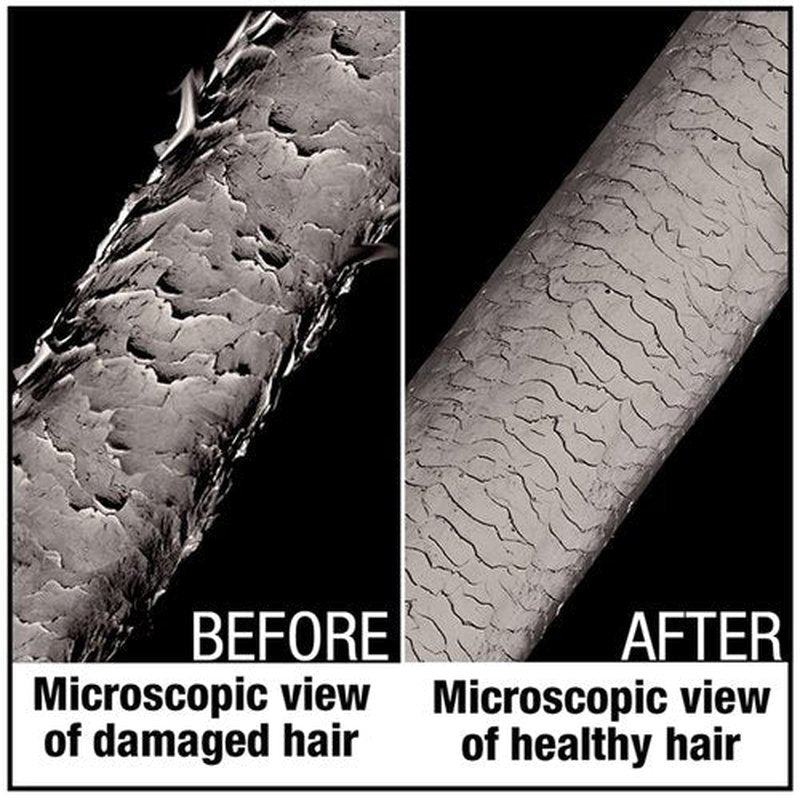 AGADIR Hair Shield 450 Spray Treatment - Protects Hair From Heat Damage | 6.7 Fl Oz