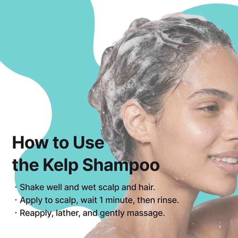 CHUNGMIJUNG Conditioning Kelp Shampoo 16.9 fl.oz / 500ml, Balancing & Soothing Cleanser with Laminaria Japonica & Mung Bean, For Sensitive, Itchy Scalp & Dry Hair, Sulfate-Free, Korean Haircare