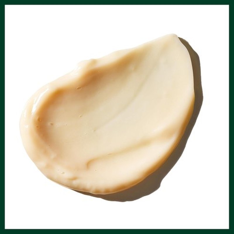 Aveda Sap Moss Weightless Hydration Conditioner - Hydrates, Detangles & Fights Frizz | 6.7 Fl Oz