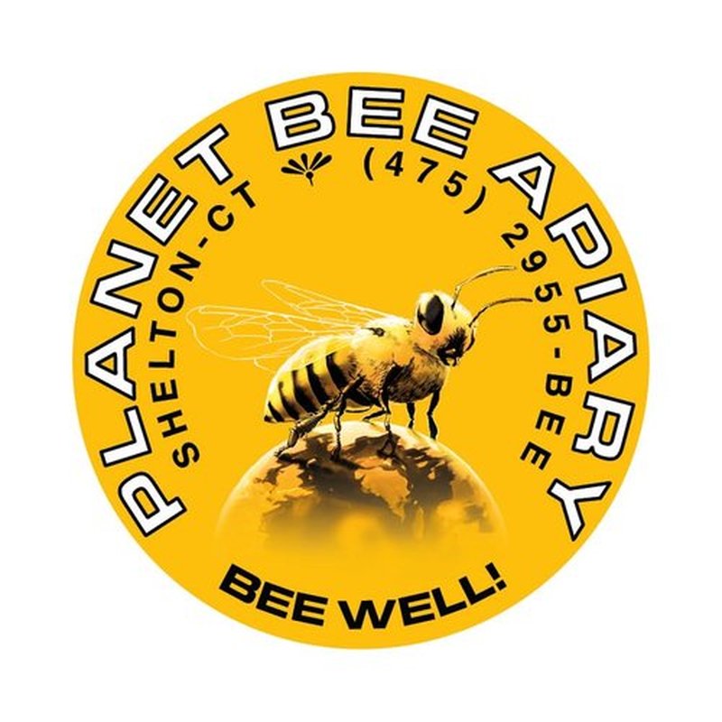 Planet Bee Apiary UNSCENTED BEE SALVE 1oz – Beeswax & Propolis Skin Moisturizer – All Natural, Small Batch