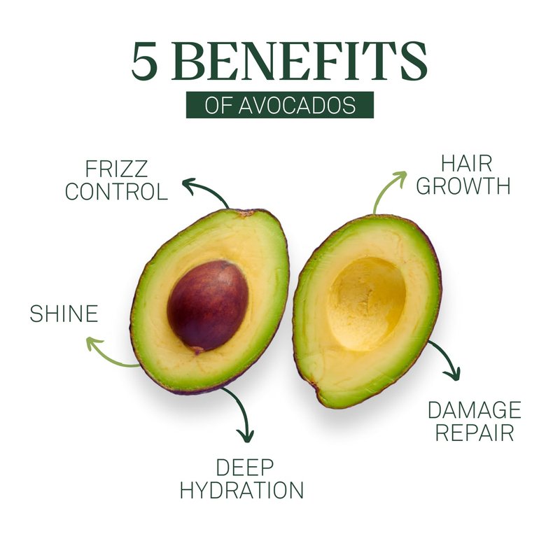 Eva + Avo Organic Scalp Oil with Avocado for Dry, Flaky & Itchy Scalp | Soothing Hair & Scalp Treatment for All Hair Types | Sulfate Free | Rose Scent | 2 Fl Oz