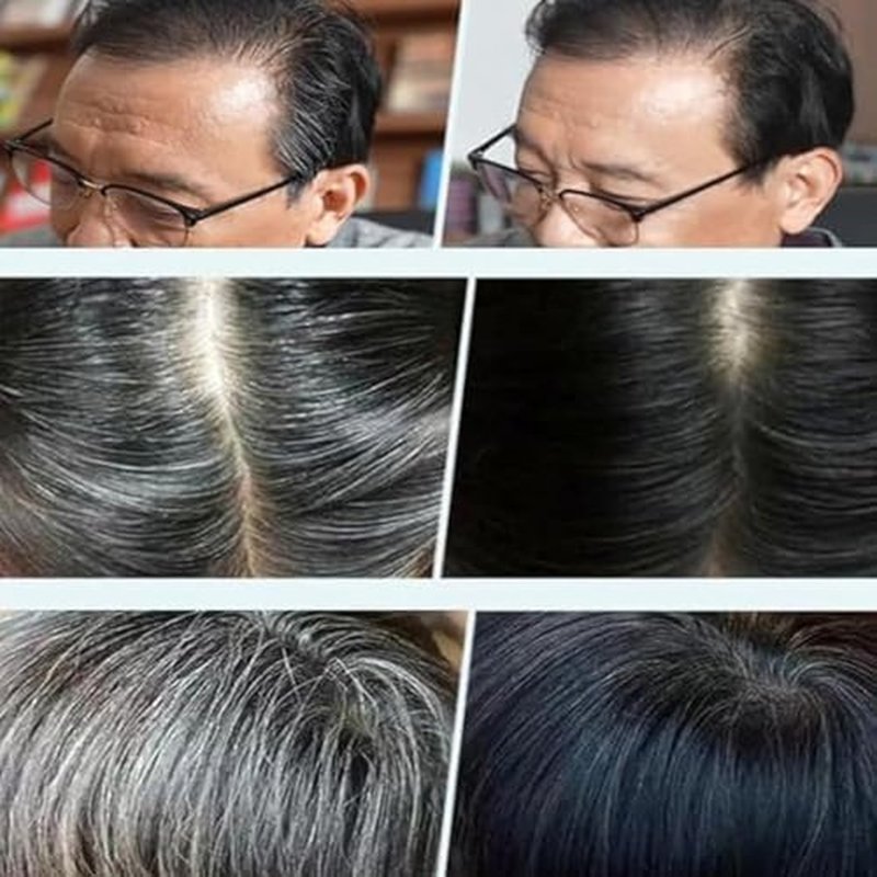 Regine Switzerland Black Fruit Hair Dye Cream - Natural Grey Coverage for Men & Women | Dark Brown
