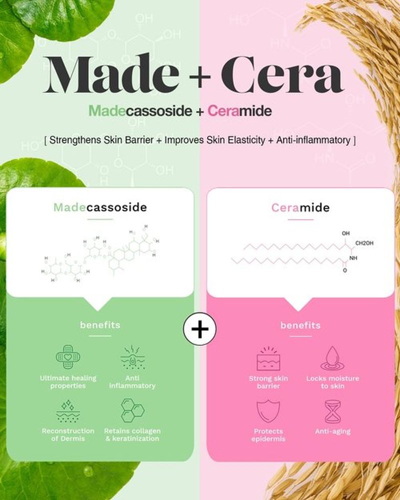 SKINRxLAB Made Cera Cream - Acne & Redness Relief Face Moisturizer, Sebum Control, Improving Skin Barrier with Ceramide and Madecassoside, Anti-Aging and Pore Minimizing Face Cream, 0.5 fl.oz.