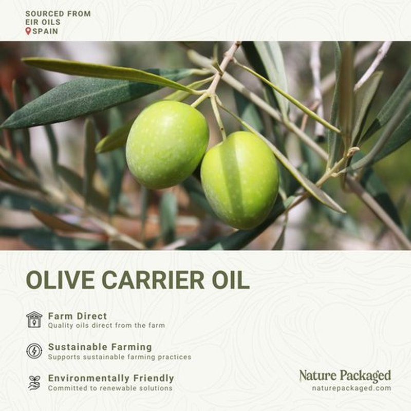 Nature Packaged Olive Oil - 100% Pure Cold Pressed Natural Olive Oil (Aceite de Oliva) for Essential Oils Dilution, Massage & Skincare - Premium Grade (16oz)
