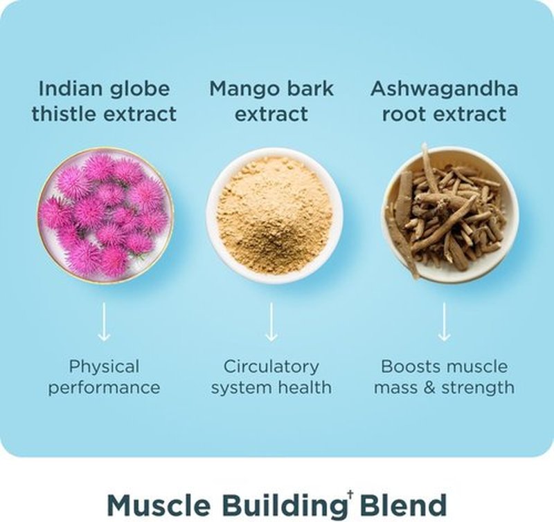 Ancient Nutrition Advanced Multi Collagen Protein Capsules - Supports Muscle Health | 90 Count