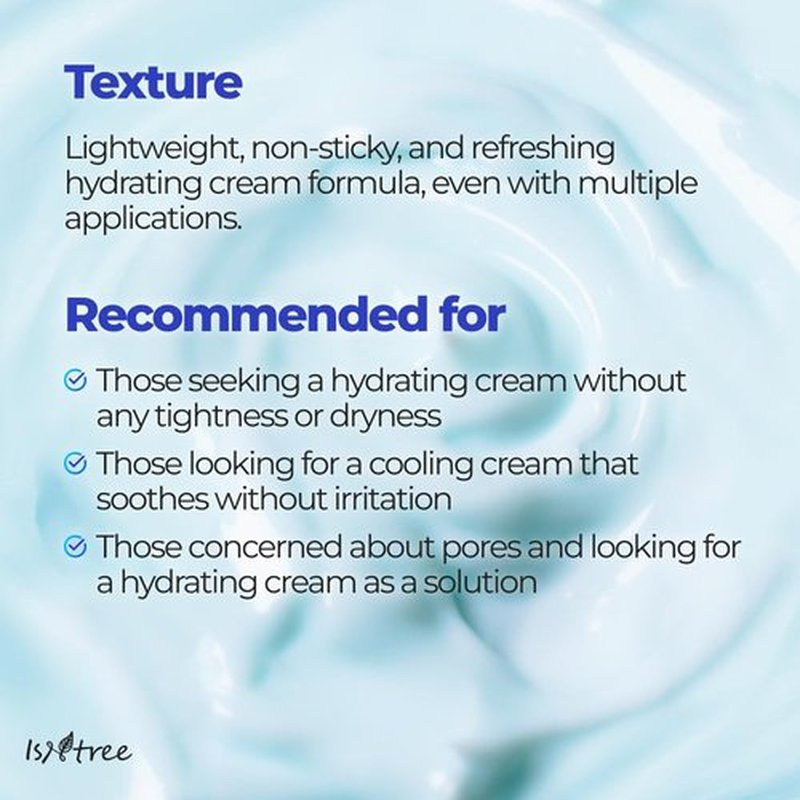 IsNtree ISTREE Zinc Aqua Cream 30ml, 1.01 fl oz | Korean Skincare | Ultra-Low Molecular Hyaluronic Acid | Pore Refining & Oil Control | Cooling & Hydrating Gel Cream