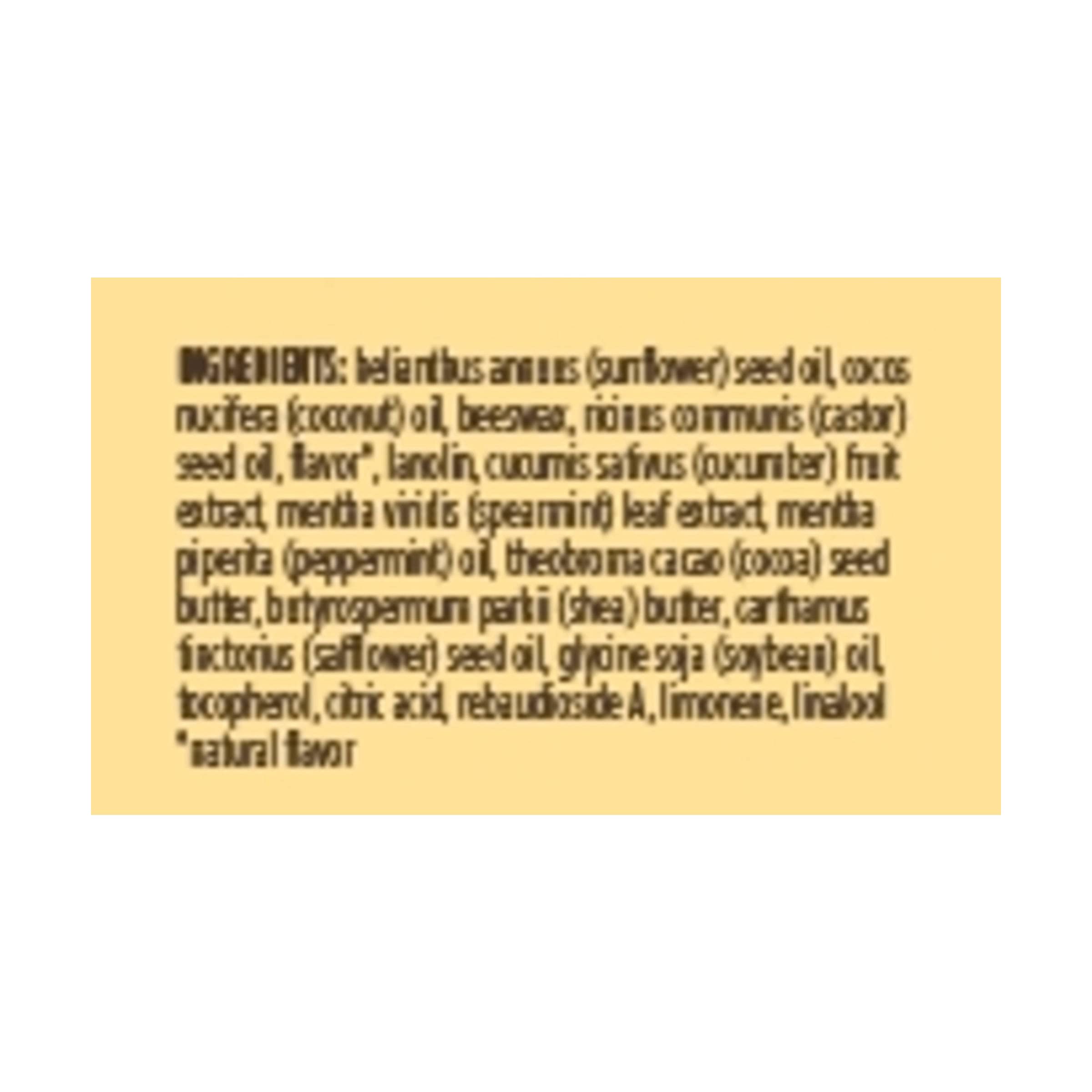 Burt's Bees Cucumber Mint Moisturizing Lip Balm for Women, Orange, 0.15 Oz