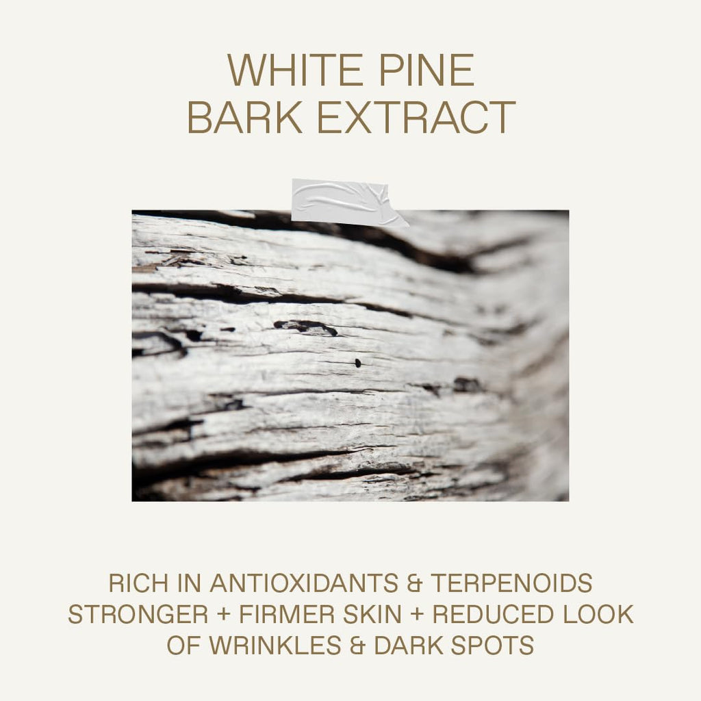 KORRES WH.PINE.EYE CR.15ML