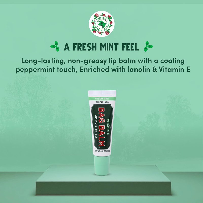 Vermont's Original Bag Balm Moisturizing Lip Balm with Vitamin E | Pack of 4 0.3oz Tubes (4 Pack, Fresh Mint)