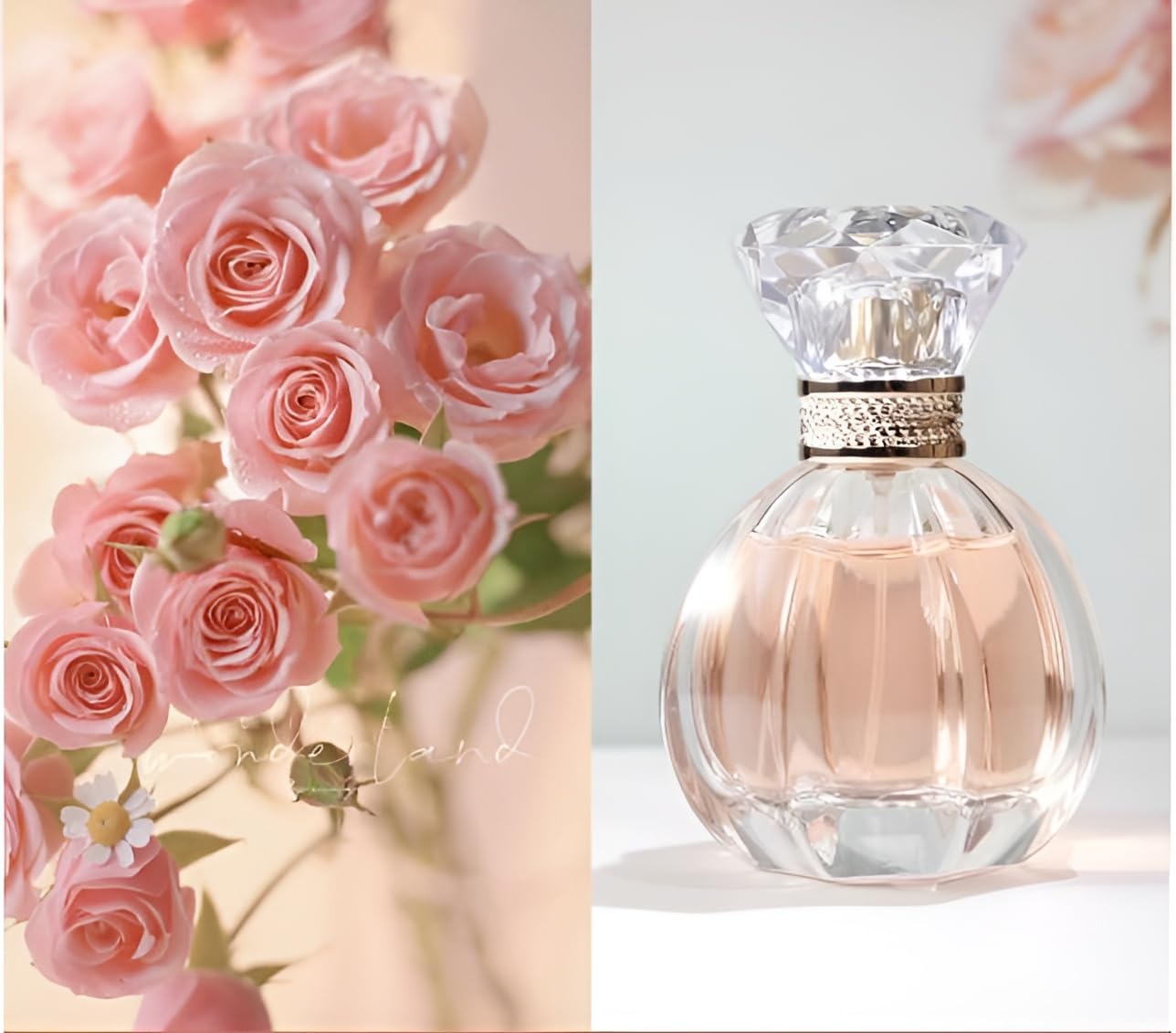 Fresh Floral Perfume for Women - Everyday Office Fragrance Wear, Light & Sweet Non-Powdery Scent, 1.7oz/50ml Eau de Parfum Spray (Rose)