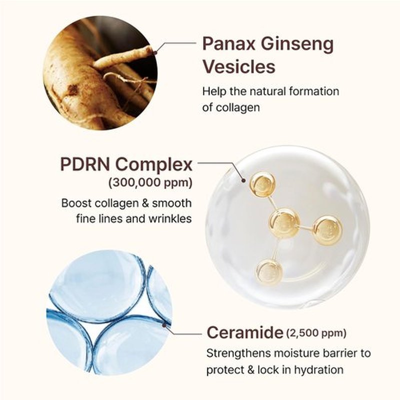 CENTELLIAN 24 PDRN Firming Boosting Ampoule - Enhanced Skin Elasticity | 1.01 fl oz, 300,000 ppm PDRN
