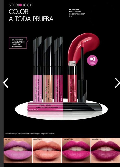 Cyzone | Intense Color Liquid Lipstick - Long Lasting Rose Nude Shade for All-Day Wear
