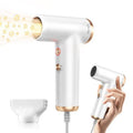 Mini Hair Dryer, 4-Temp High Speed Ionic Hair Dryer, 2-Speed Lightweight Portable Small Hair Dryers, 110,000 RPM Hair Blow Dryer Travel Blow Dryer with Self-Cleaning Styler & Advanced Protection