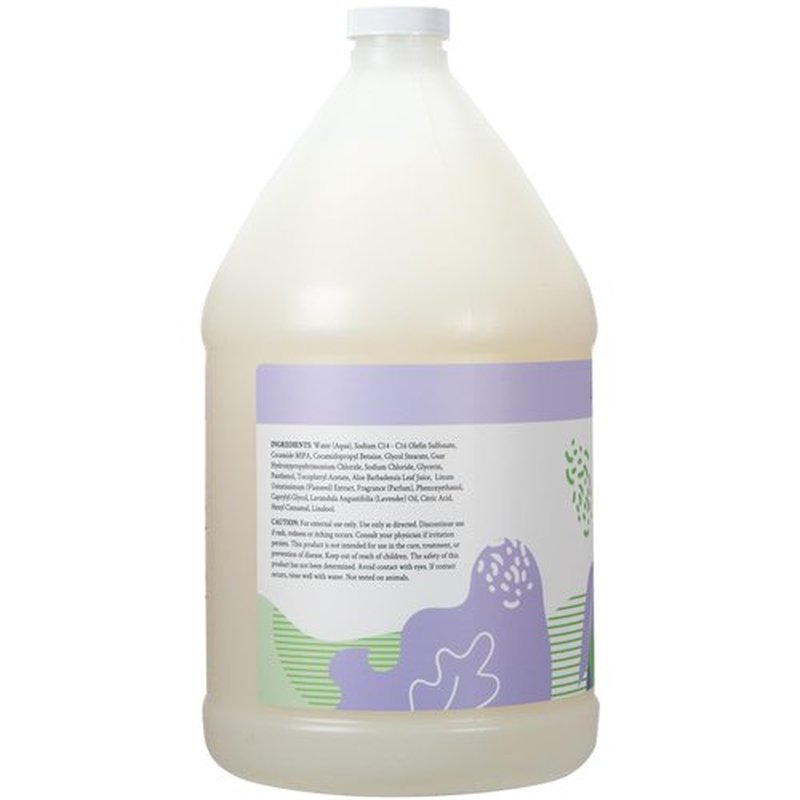 Ginger Lily Farms Botanicals Moisturizing Shampoo for All Hair Types, 100% Vegan & Cruelty-Free, Lavender Chamomile Scent, 1 Gallon Refill (128 fl oz)