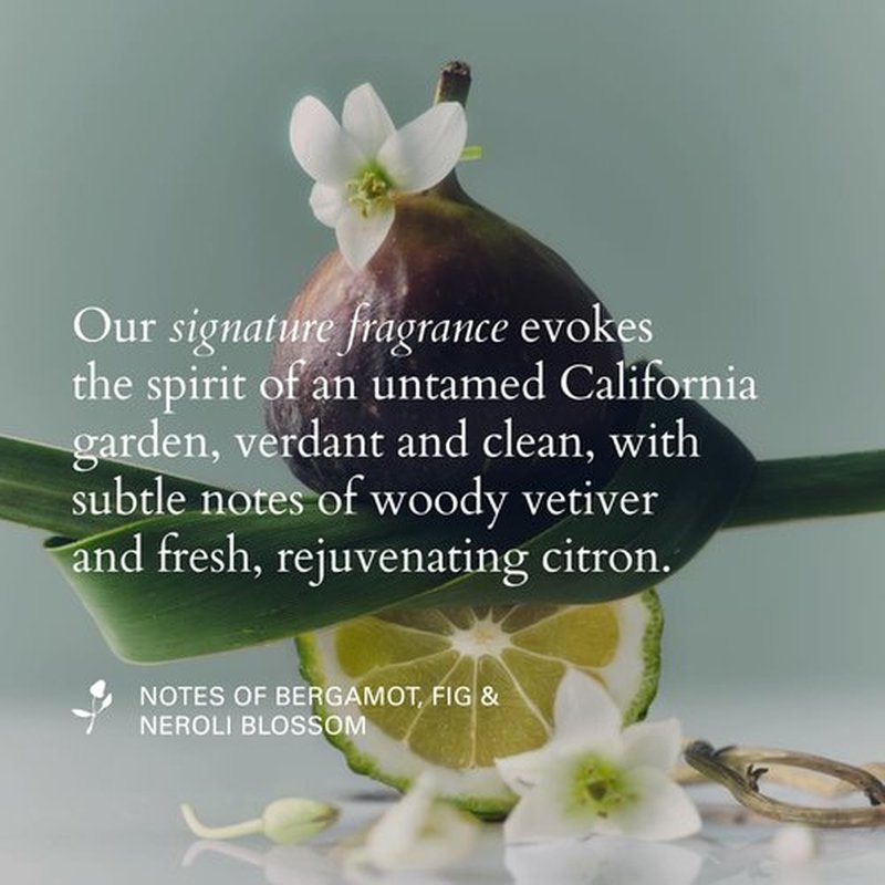 RŌZ Foundation Mask - Hydrating Hair Treatment for All Hair Types | Deep Conditioning & Nourishing