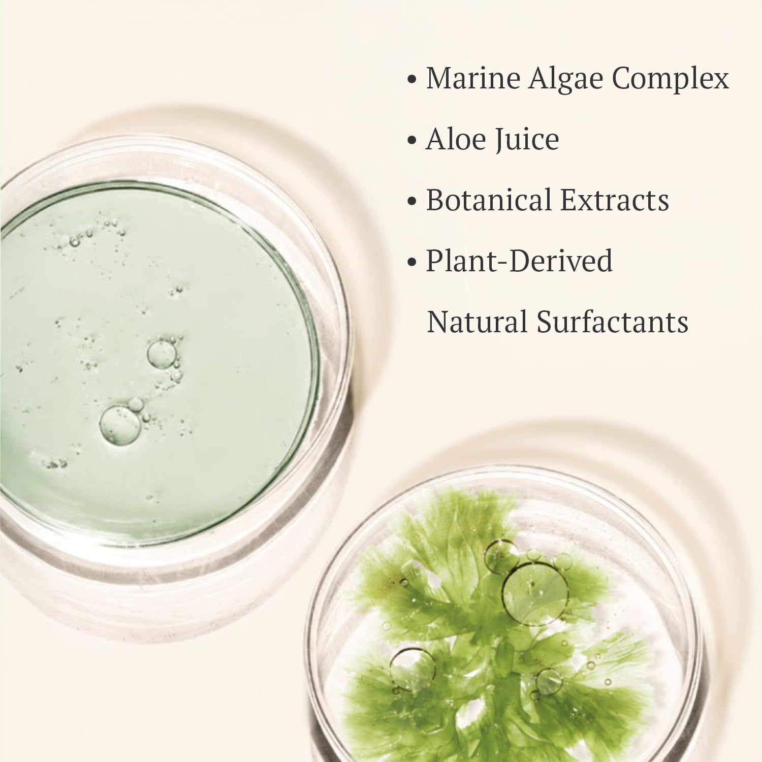Florencia Botanical Marine Gentle Cleanser – Non Foaming Hydrating Purifying Face Wash with Marine Algae Seaweeds and Organic Botanicals for Dry Normal and Sensitive Skin – 6 Fl Oz