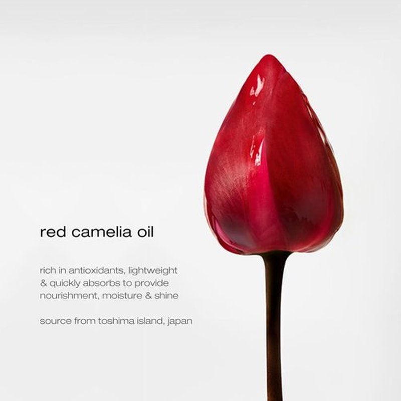 Shu Uemura Art of Hair Essence Absolue Nourishing Hair Oil - Lightweight, Hydrating & Frizz-Reducing with Heat Protection