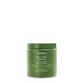Aveda Be Curly Advanced Coil Definer Gel - Strong Hold for Coily Hair | Defines & Protects from Humidity | 8.8 Ounce
