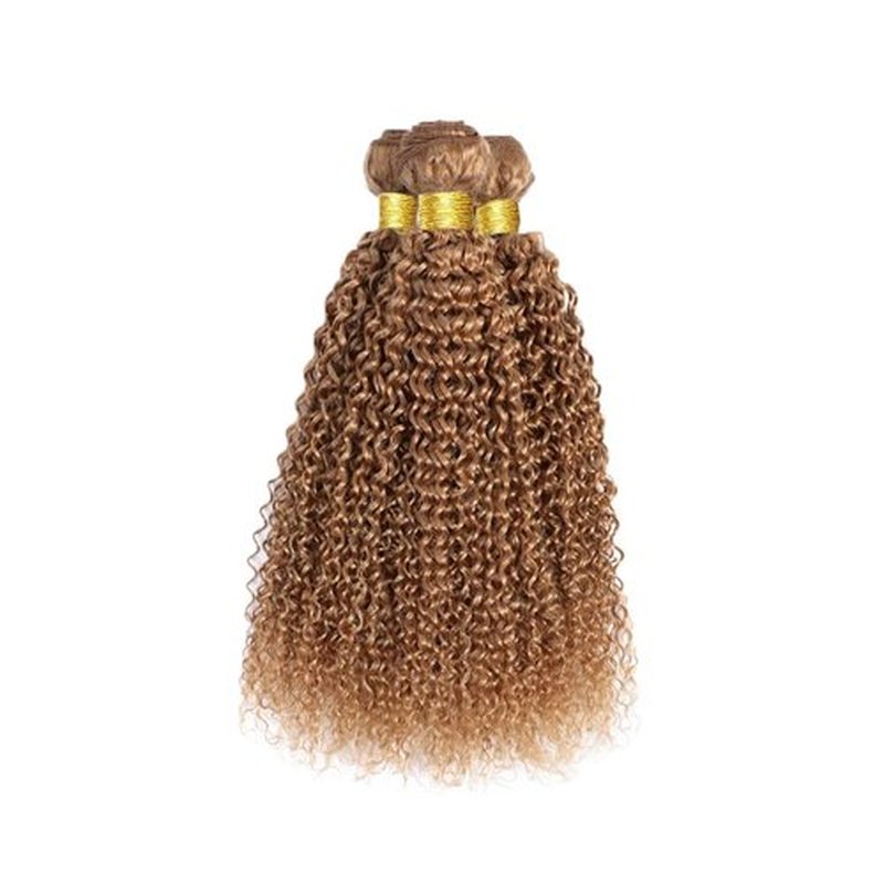 Color 27 Bundles Human Hair Honey Blonde Kinky Curly Bundles 18 20 22 Inch Brazilian Unprocessed Virgin Hair Extensions