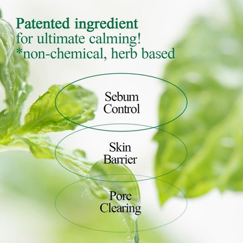 Pyunkang Yul PKY Ultimate Calming Solution Cream - Soothes Sensitive Skin with Cica & Tea Tree | 1.01 Fl. Oz (30ml)