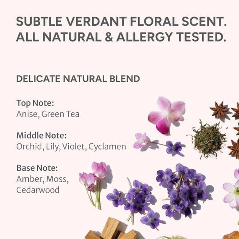 Noelo Hills Hair Treatment, Korean, Pregnancy Safe, Pregnancy & Postpartum Hair Care, Nourishing & Conditioning, Panthenol, Allantoin, Soy Actives, K beauty, 6.76 fl oz