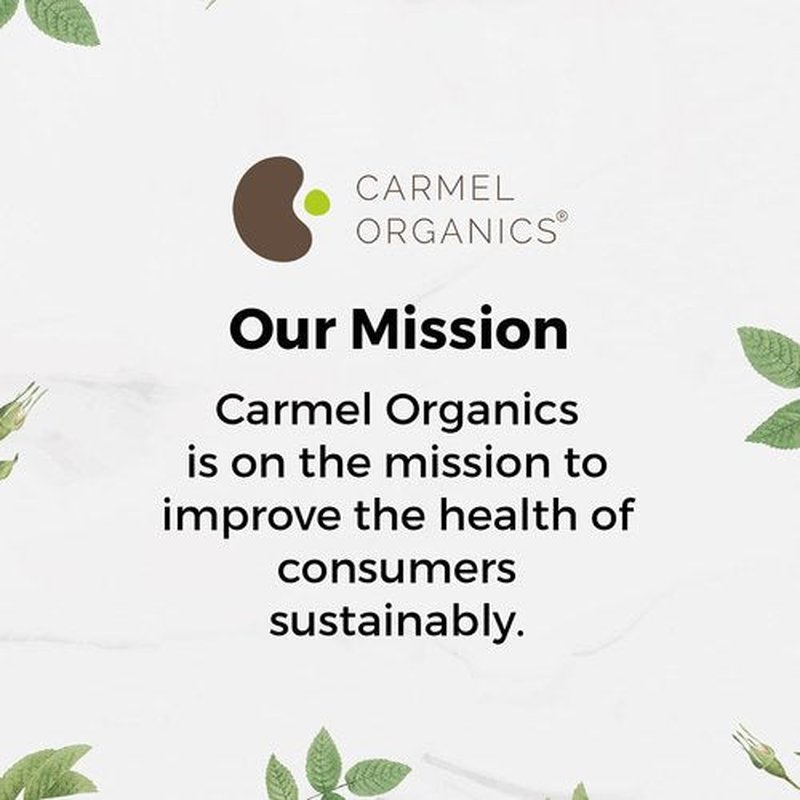 CARMEL ORGANICS Soapnut/Reetha Whole 12 Ounce | Pure Reetha Pods | Natural Hair Cleanser & Conditioner | Chemical-Free & Eco-Friendly, No Added Preservatives