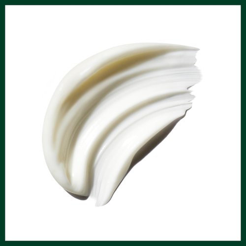 Aveda Be Curly Advanced Conditioner | Moisturizing Conditioner for Curly, Coily, Wavy Hair | Fights Frizz | Silicone Free | 97% Naturally Derived*, 8.5 Fl Oz