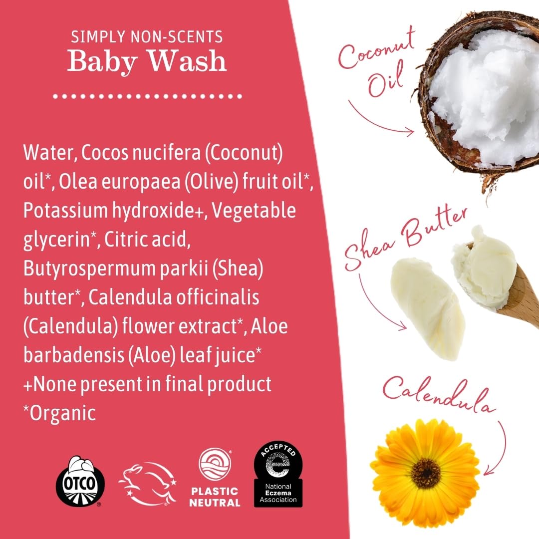 Earth Mama Simply Non-Scents Baby Wash Foaming Hand Soap Refill, All-Purpose Body Wash for Sensitive Skin, Castile Soap with Coconut Oil, Shea Butter, Calendula, & Aloe, 5.3 Fl Oz (Pack of 2)