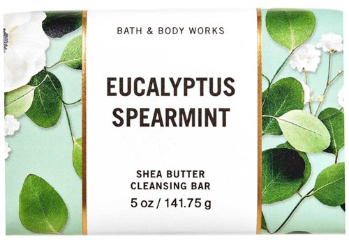 Bath and Body Works Bar Soap 2 pack (Eucalyptus Spearmint)