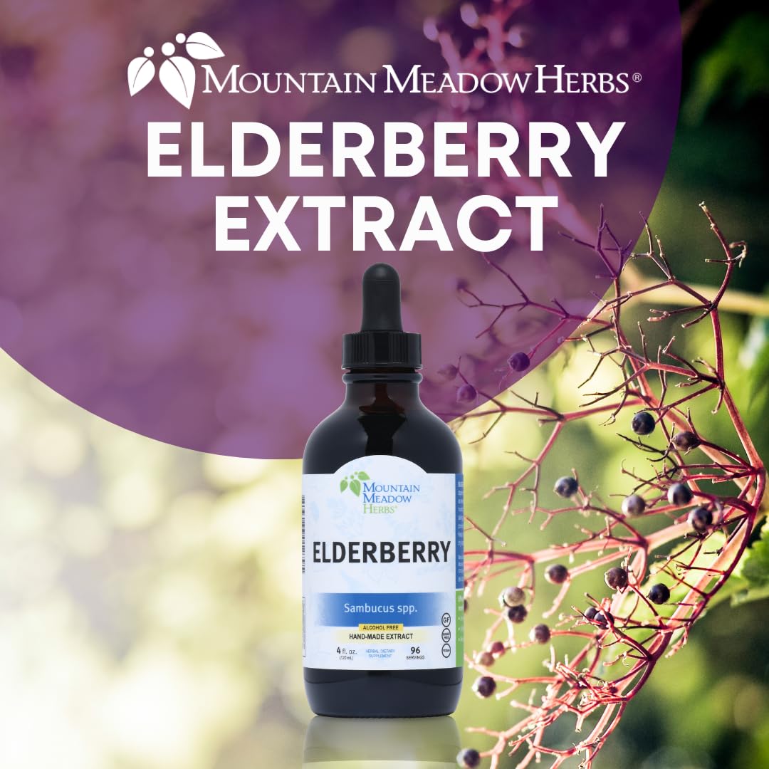 Mountain Meadow Herbs Elderberry Extract | All Natural Immune Booster | Fast-Acting Liquid Concentrate | Promotes Immune System Health | Tincture 4 oz.