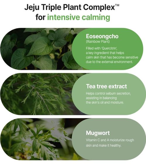Fation Real Fit Mask, 5 Pack (Heartleaf Calming)